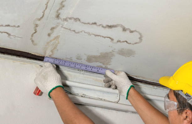 Reliable Structural Drying contractor in Wilbur, WA by Water Damage Irwin